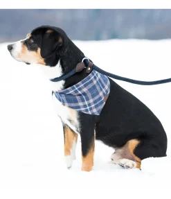 Outlet Laisse retriever Nature Rope Laisses Pour Chien