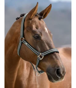 Sale Licol Basic Licols Pour Poneys & Poulains|Licols Synthétiques