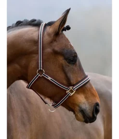 Online Licol Basic Licols Pour Poneys & Poulains|Licols Synthétiques