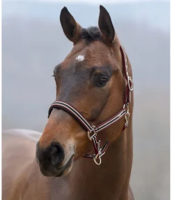 Online Licol Basic Licols Pour Poneys & Poulains|Licols Synthétiques