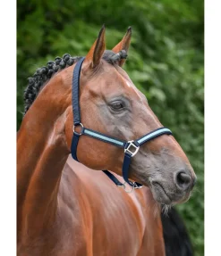 Clearance Licol Blaire Licols Synthétiques