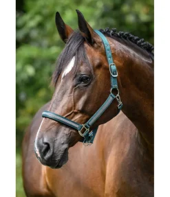 Hot Licol Blaire Licols Synthétiques