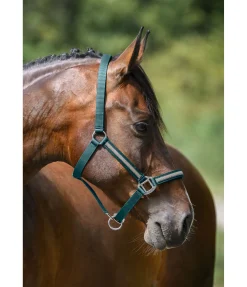 Hot Licol Blaire Licols Synthétiques