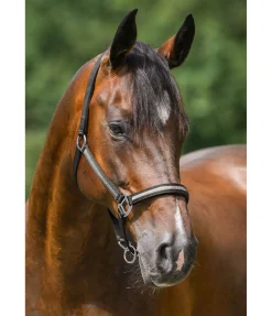 Sale Licol Blaire Licols Synthétiques