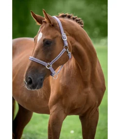 New Licol Brilliant Licols Synthétiques|Licols Pour Poneys & Poulains