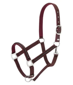 Clearance Licol Brilliant Licols Synthétiques|Licols Pour Poneys & Poulains