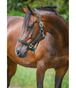 New Licol Brilliant Licols Synthétiques|Licols Pour Poneys & Poulains