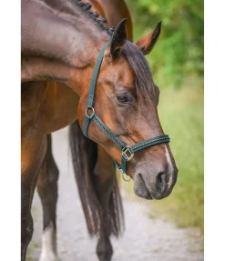 New Licol Brilliant Licols Synthétiques|Licols Pour Poneys & Poulains