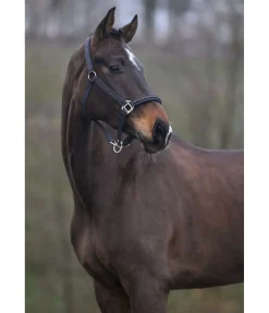 Online Licol Brilliant Licols Synthétiques|Licols Pour Poneys & Poulains