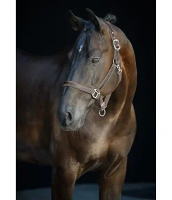 Discount Licol Charles Licols Pour Poneys & Poulains|Licols En Cuir