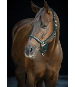 Best Licol Charles Licols Pour Poneys & Poulains|Licols En Cuir