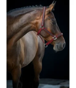 Outlet Licol Charles Licols Pour Poneys & Poulains|Licols En Cuir