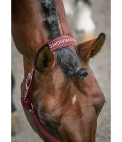 New Licol Cloud Licols Synthétiques