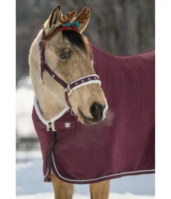 Licol Collection de Noël Licols Synthétiques