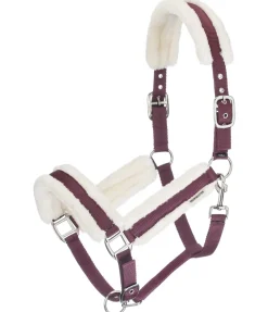 Hot Licol Cosy Licols Pour Poneys & Poulains|Licols Synthétiques