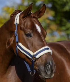 New Licol Cosy Licols Pour Poneys & Poulains|Licols Synthétiques