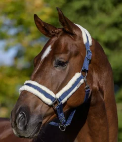 New Licol Cosy Licols Pour Poneys & Poulains|Licols Synthétiques