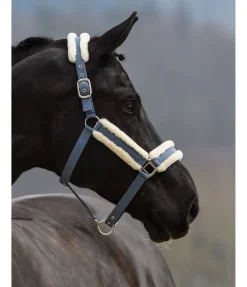 Hot Licol Cosy Licols Pour Poneys & Poulains|Licols Synthétiques