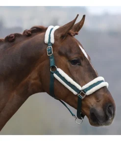 Online Licol Cosy Licols Pour Poneys & Poulains|Licols Synthétiques