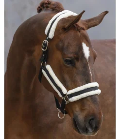 Sale Licol Cosy Licols Pour Poneys & Poulains|Licols Synthétiques