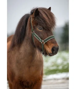 Licol Dagur Licols Synthétiques