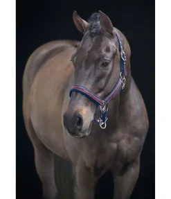 Hot Licol Essential II Licols Synthétiques