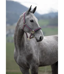 Hot Licol Essential II Licols Synthétiques