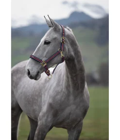 Hot Licol Essential II Licols Synthétiques