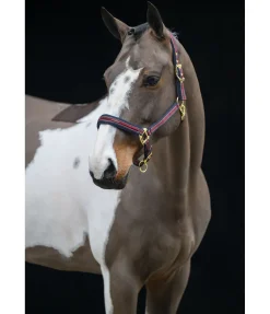 Hot Licol Essential II Licols Synthétiques