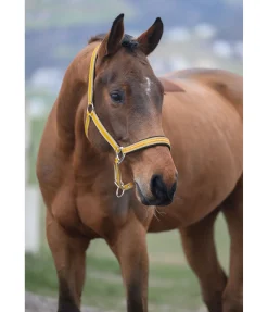 Sale Licol Essential II Licols Synthétiques