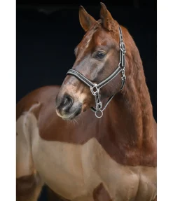 Hot Licol Essential II Licols Synthétiques