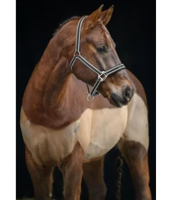 Hot Licol Essential II Licols Synthétiques