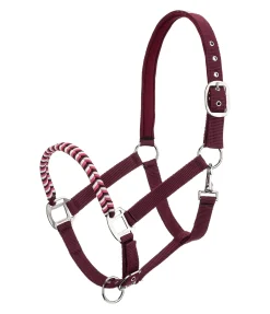 Hot Licol Filo Licols Synthétiques