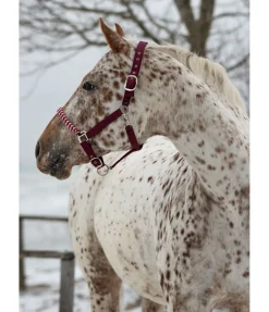 Hot Licol Filo Licols Synthétiques