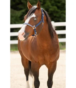 Outlet Licol Filo Licols Synthétiques