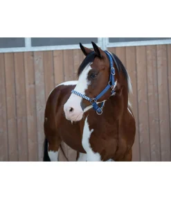 Outlet Licol Filo Licols Synthétiques