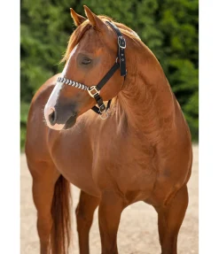 Outlet Licol Filo Licols Synthétiques