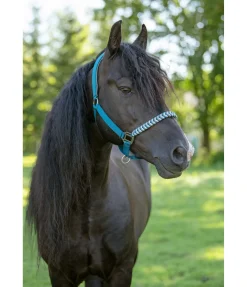 New Licol Filo Licols Synthétiques