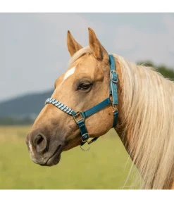 New Licol Filo Licols Synthétiques