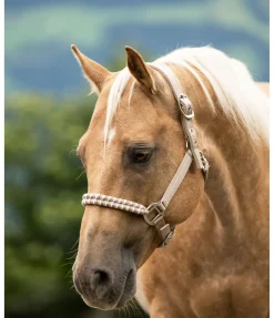 Discount Licol Filo Licols Synthétiques