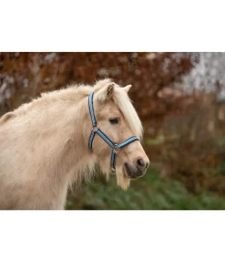 Hot Licol Floki Licols Synthétiques