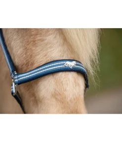 Hot Licol Floki Licols Synthétiques