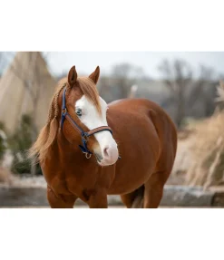 Discount Licol Forster Licols Synthétiques