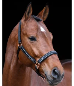 Outlet Licol Glamorous Licols Synthétiques