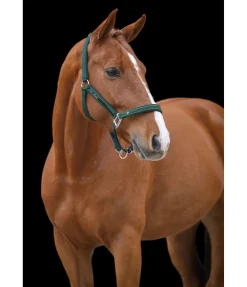 Online Licol Glamorous Licols Synthétiques