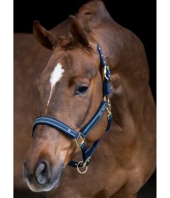 Discount Licol Glamorous Licols Synthétiques