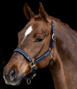 Discount Licol Glamorous Licols Synthétiques