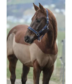 Hot Licol Glitte Licols Synthétiques