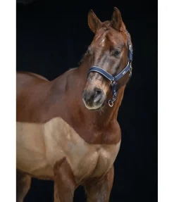 Hot Licol Glitte Licols Synthétiques