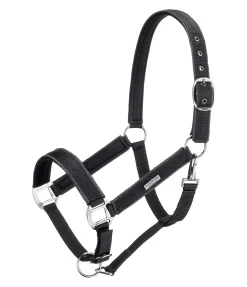 Online Licol Glitte Licols Synthétiques